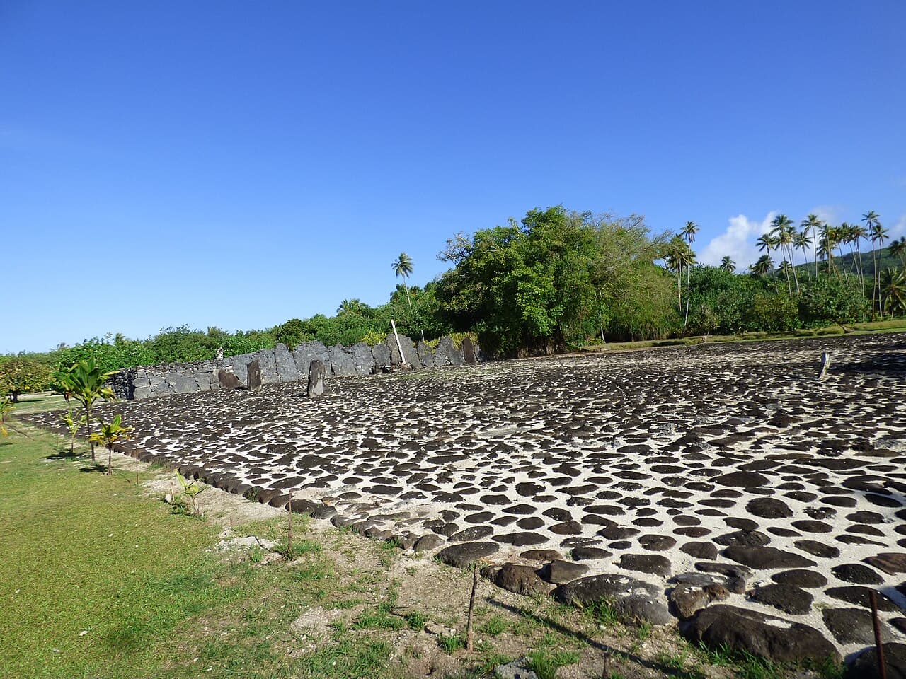 The paved court and upright basalt slabs of the marae Taputapuātea on Raiatea, French Polynesia