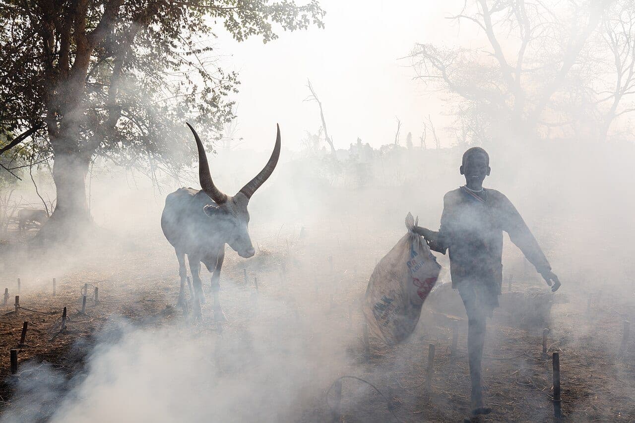 A Mundari cattle camp near Terekeka, South Sudan