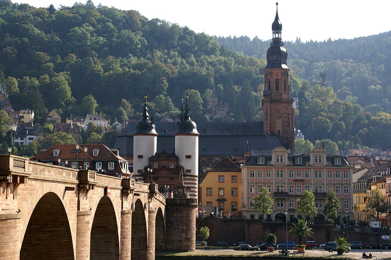 Heidelberg University
