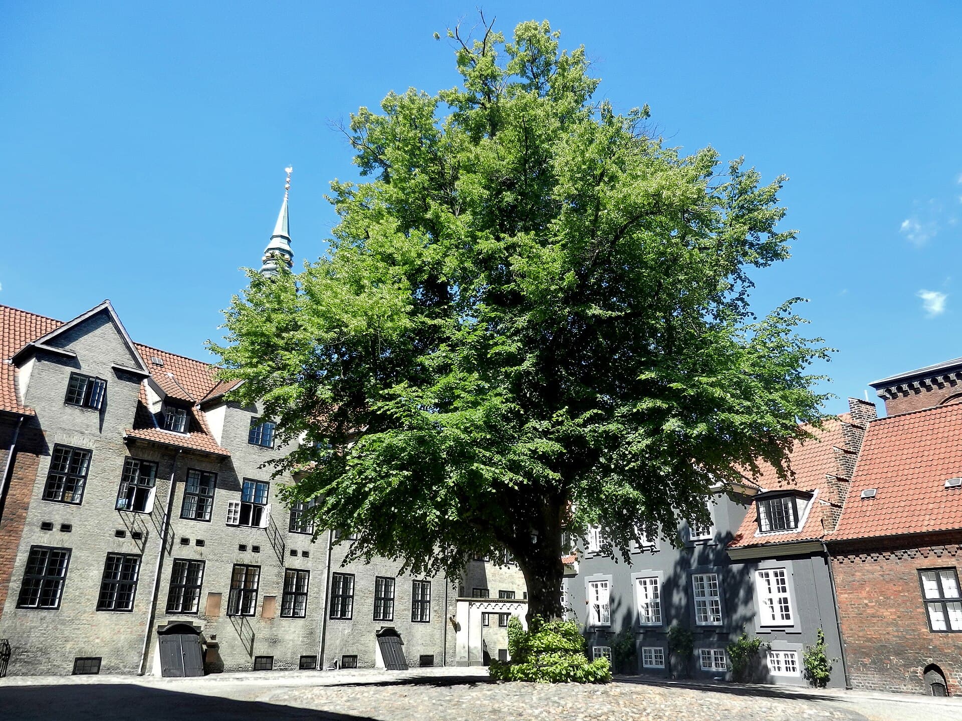 The main building of the University of Copenhagen at Frue Plads