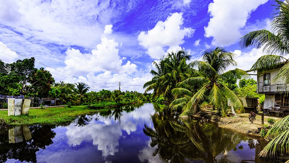 SURINAME Heritage: Museums, Landmarks & Culture heritage landscape