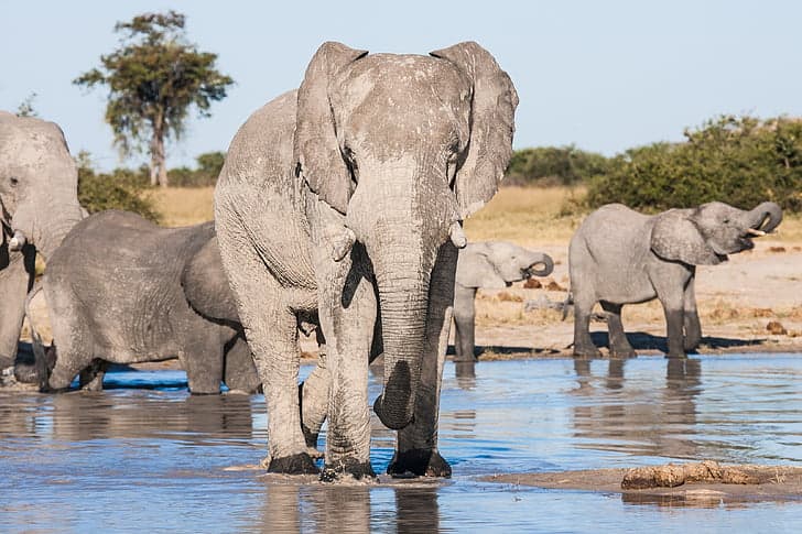 References and Resources - Botswana Heritage: Museums, Landmarks & Culture