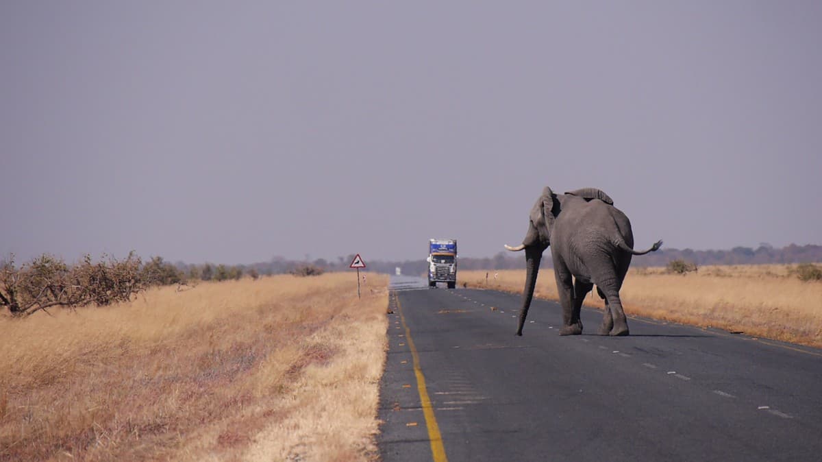 Botswana Heritage: Museums, Landmarks & Culture heritage landscape