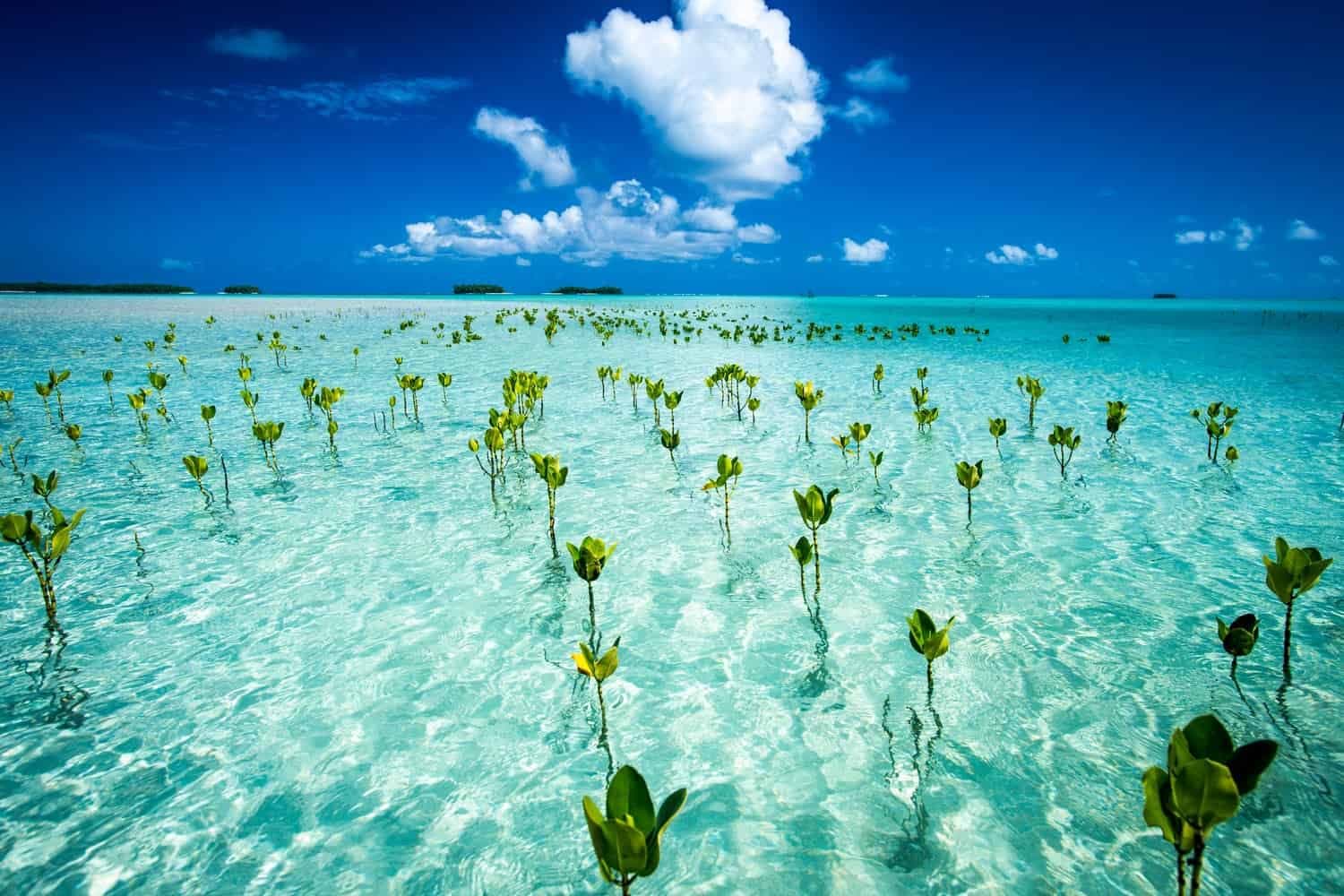 TUVALU Heritage: Museums, Landmarks & Culture heritage landscape