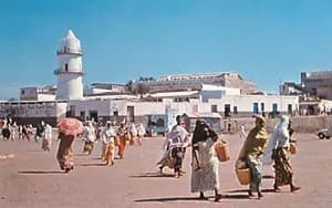References and Resources - DJIBOUTI Heritage: Museums, Landmarks & Culture