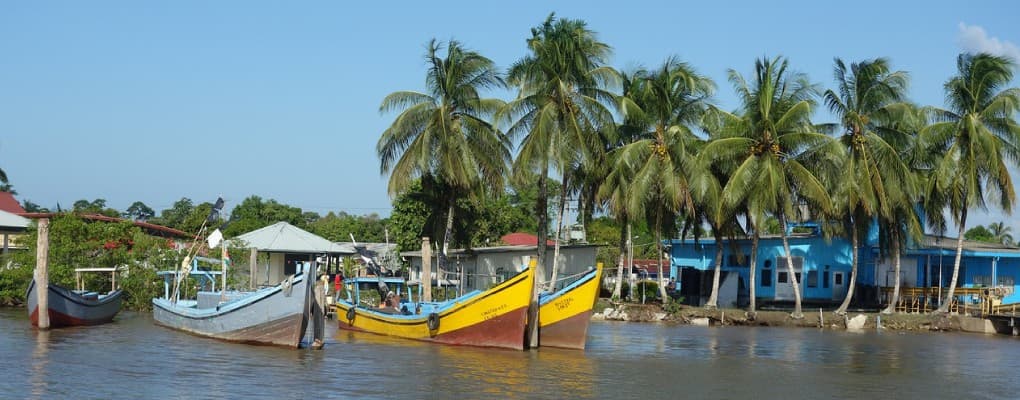 References and Resources - SURINAME Heritage: Museums, Landmarks & Culture