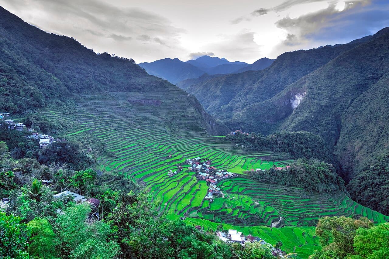Stone-walled rice terraces cut into the mountainside at Batad in the Cordilleras