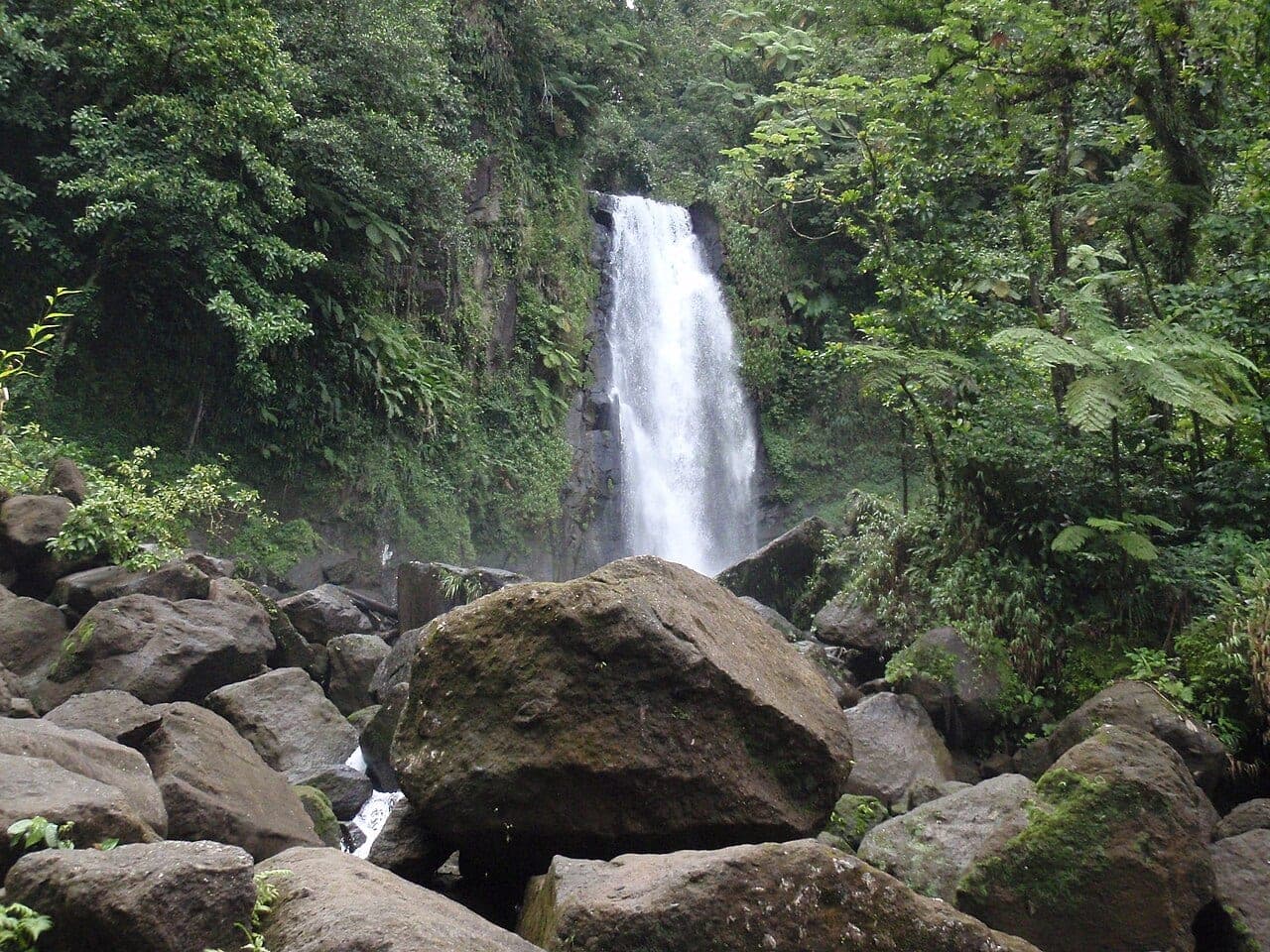 Trafalgar Falls in Morne Trois Pitons National Park, Dominica